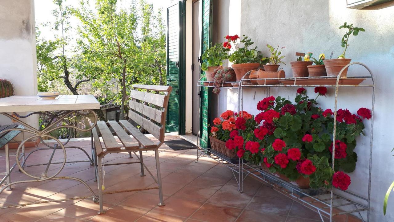 Casa Di Giulia Santa Luce Exterior foto
